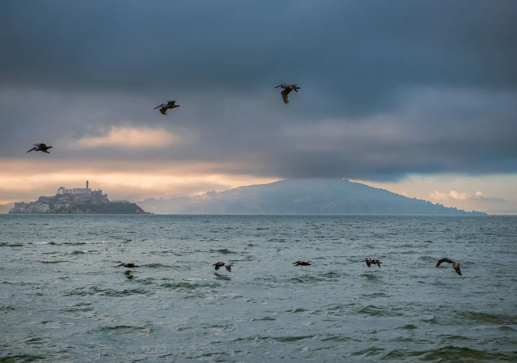 Birds flying low over grey water toward distant hills