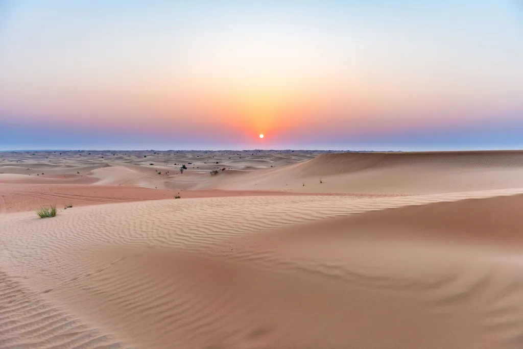 Rippled sand dunes under a low setting sun