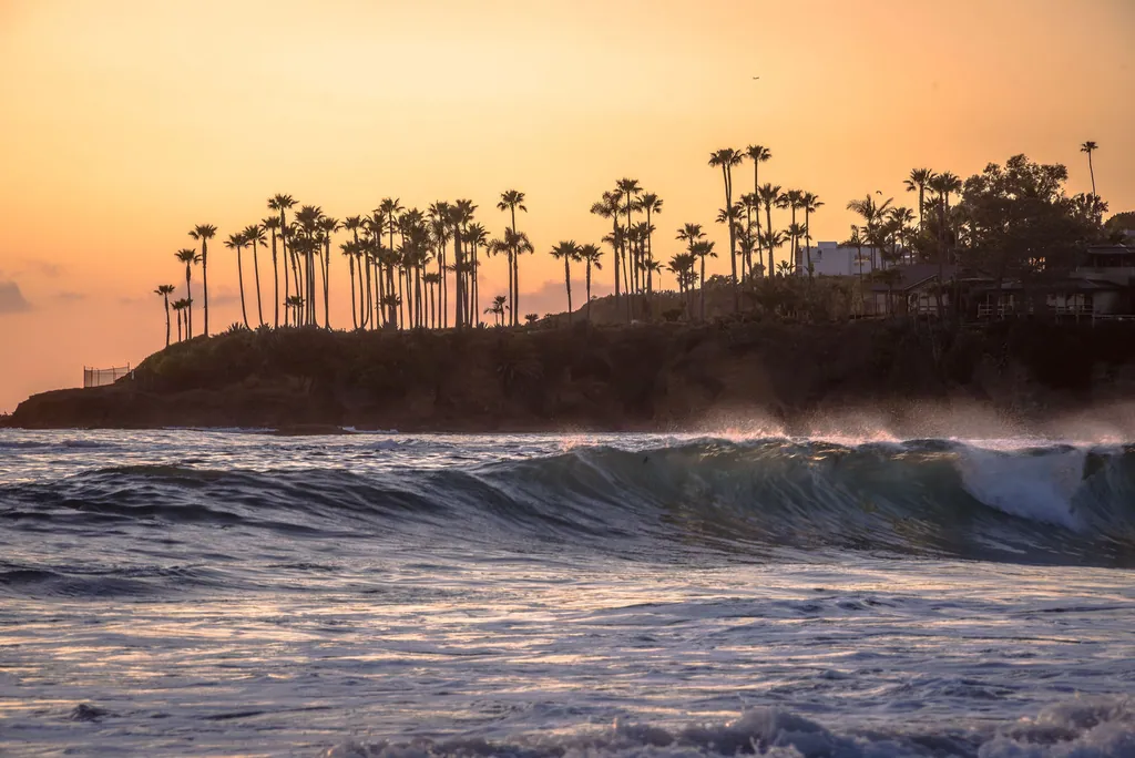 Palm trees on a headland above the sea at sunset