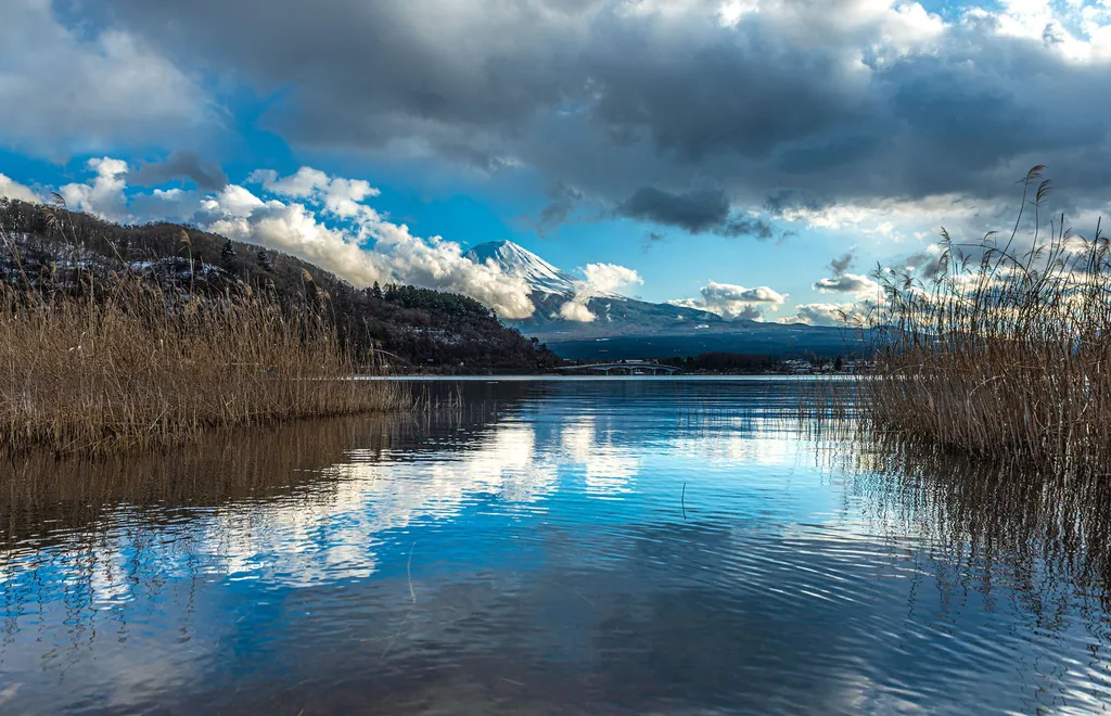 Clouds reflected in a calm lake framed by reeds